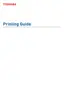 Preview: Printing Guide