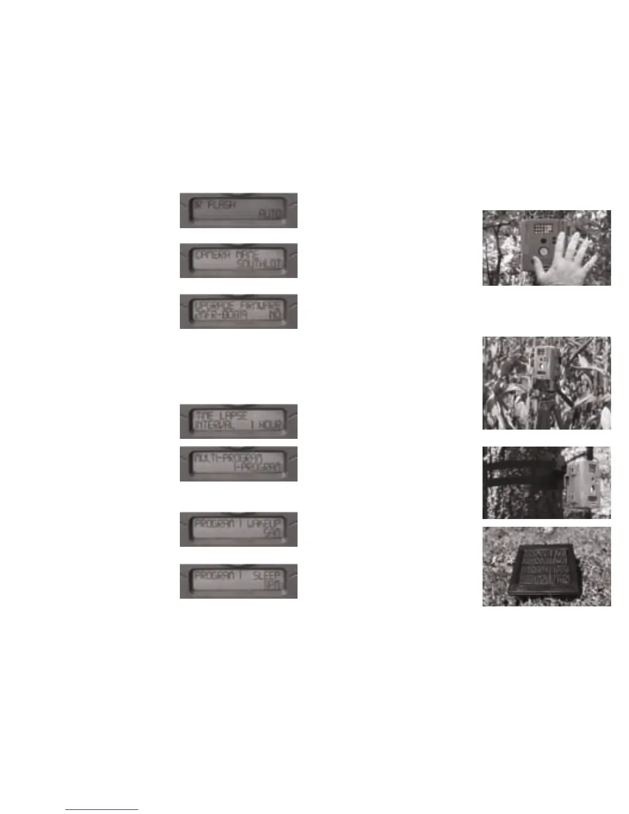 Page #10 background image