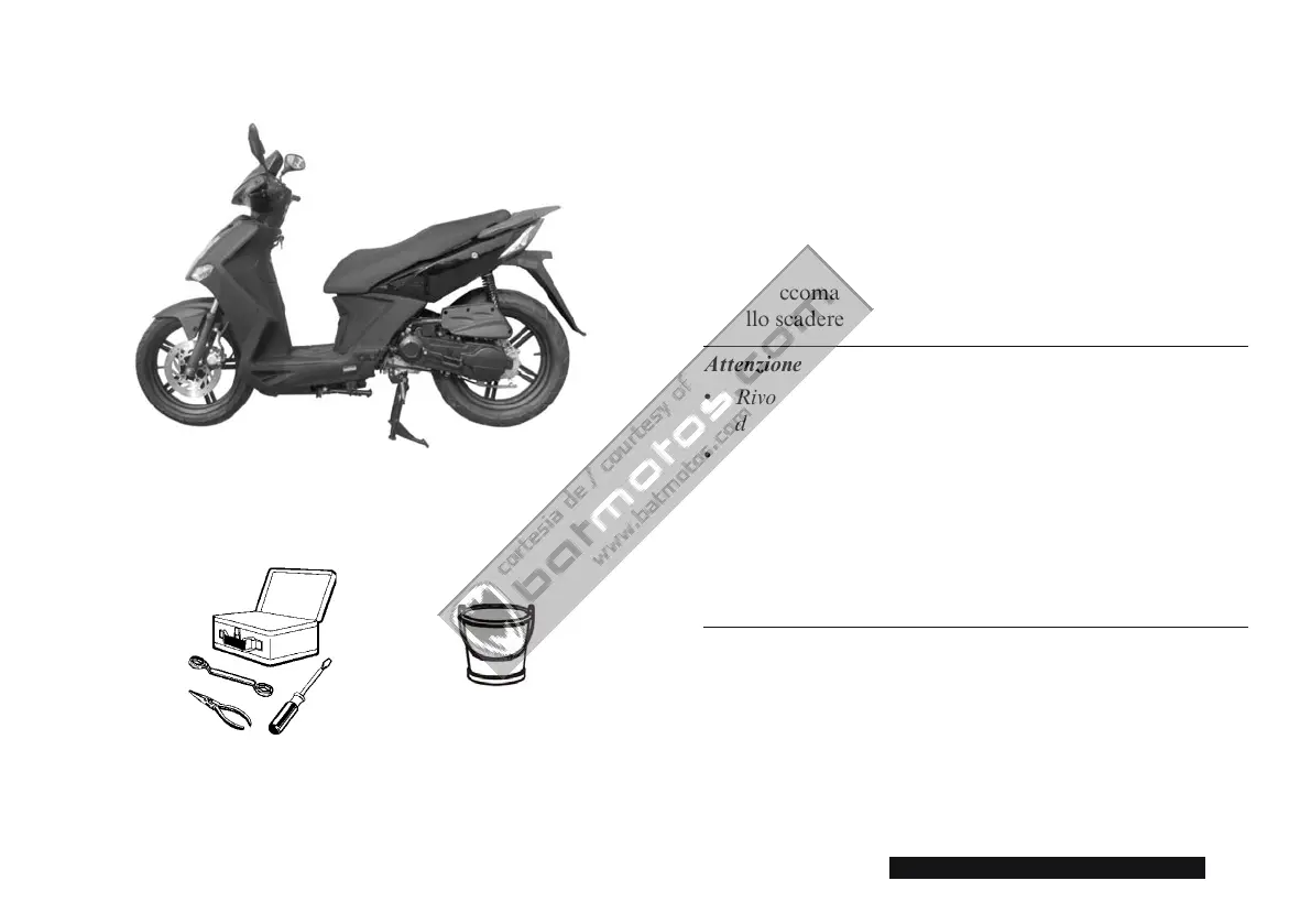 Page #237 background image