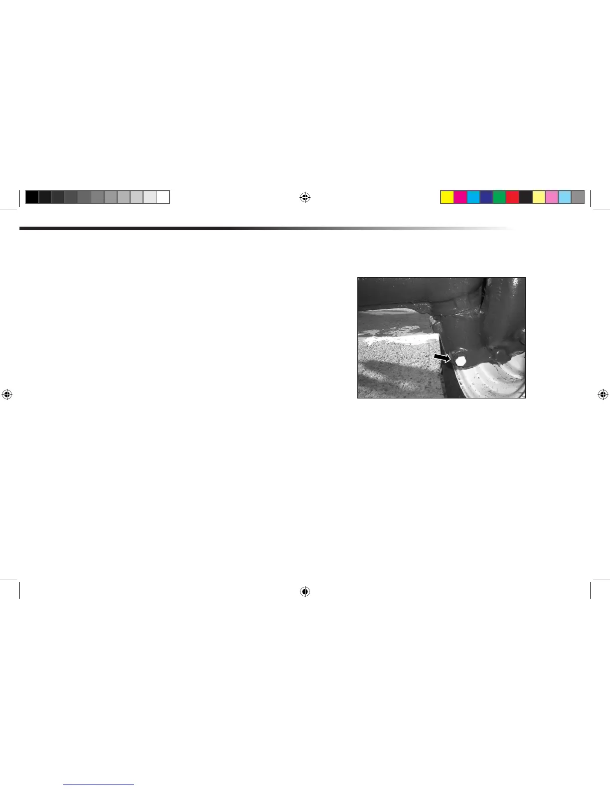 Page #119 background image