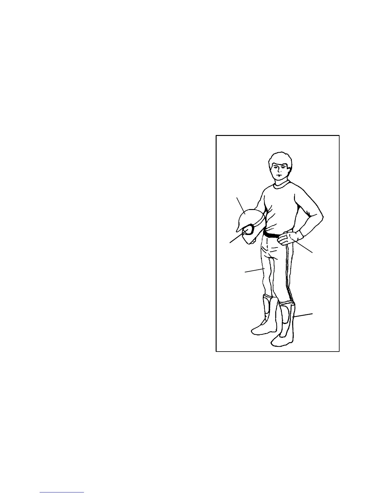 Page #81 background image