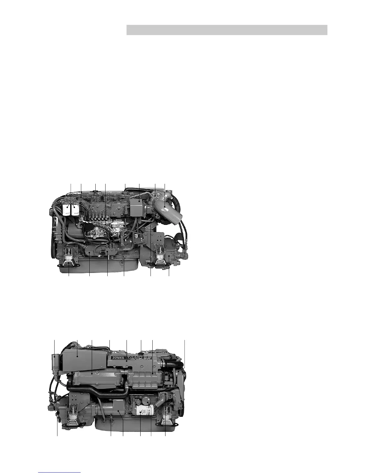 Page #13 background image