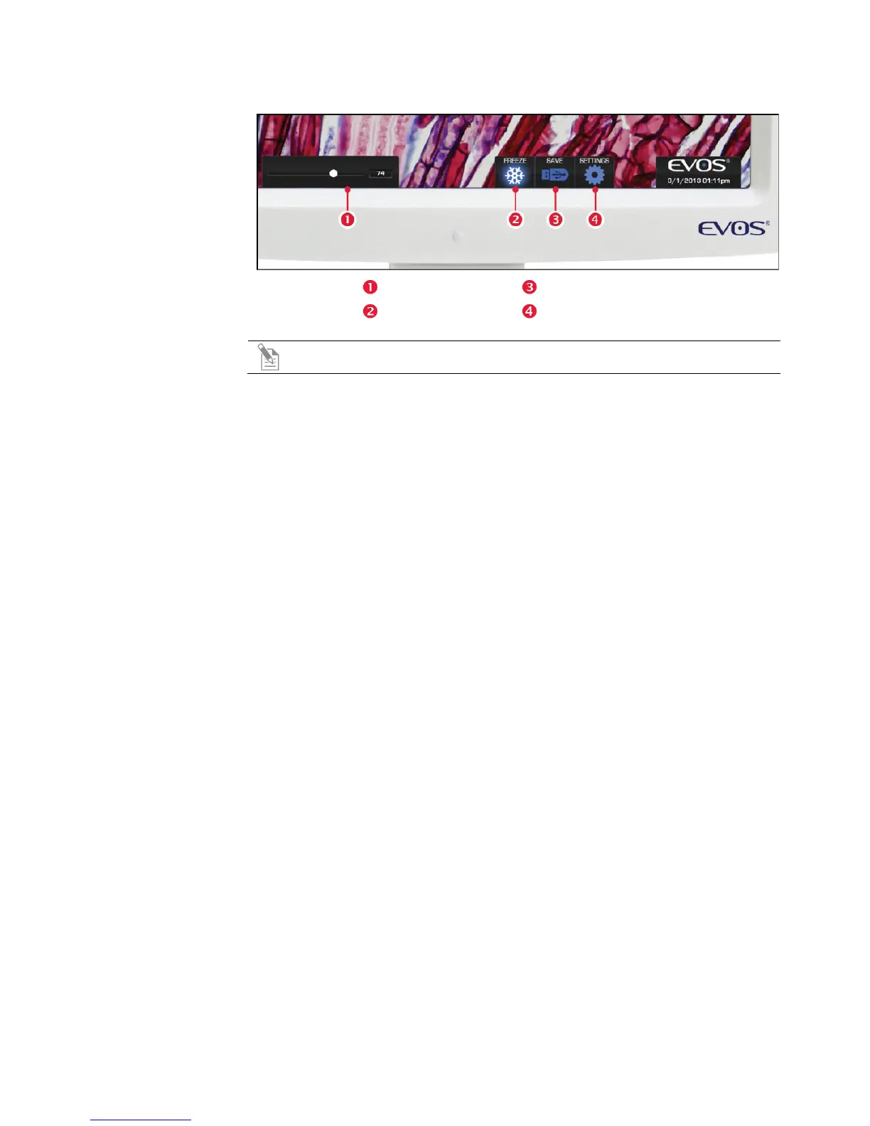 Page #11 background image