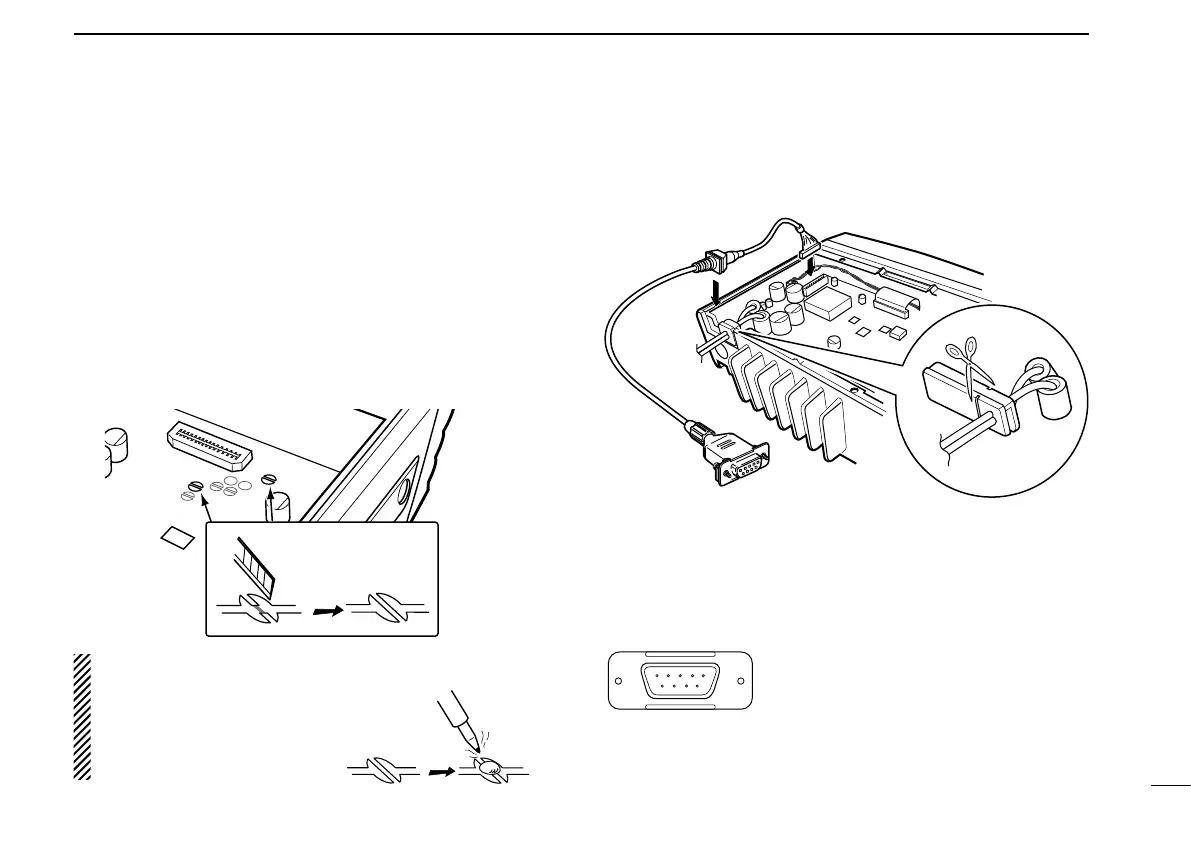 Page #17 background image