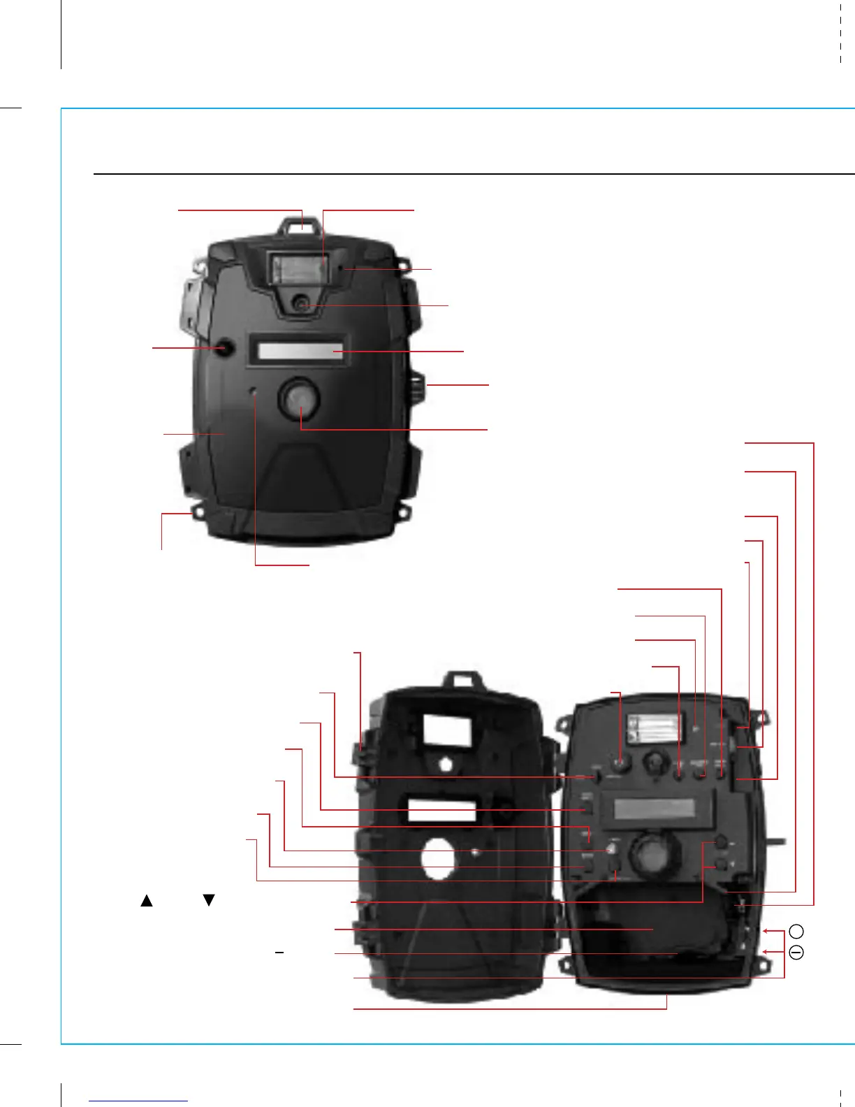 Page #2 background image