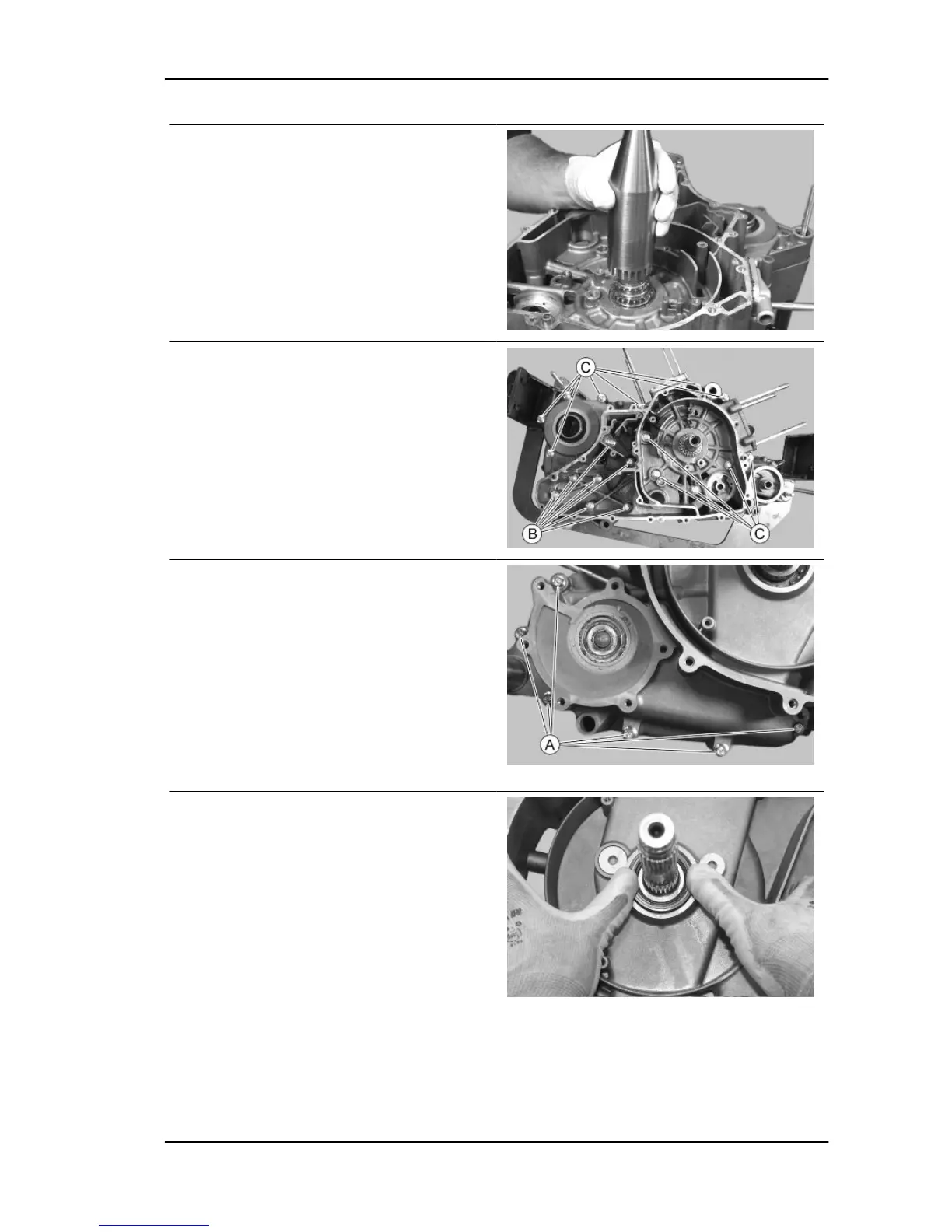 Page #231 background image