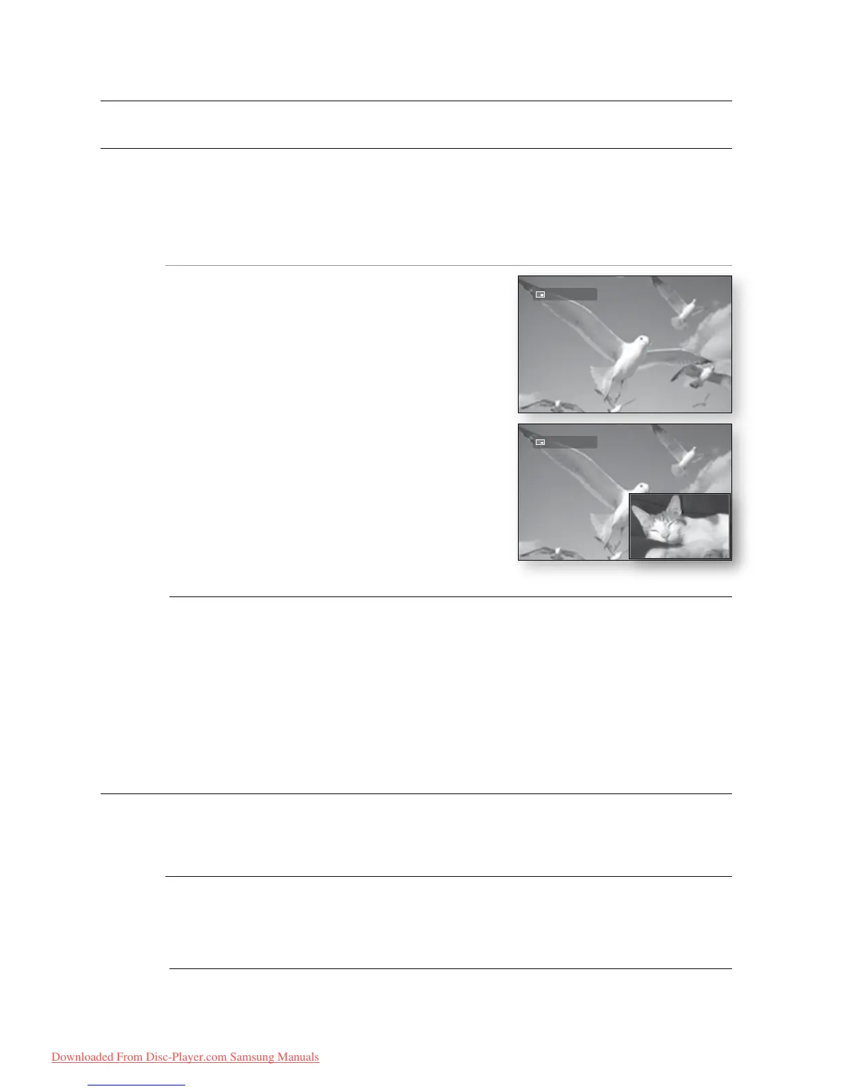 Page #58 background image