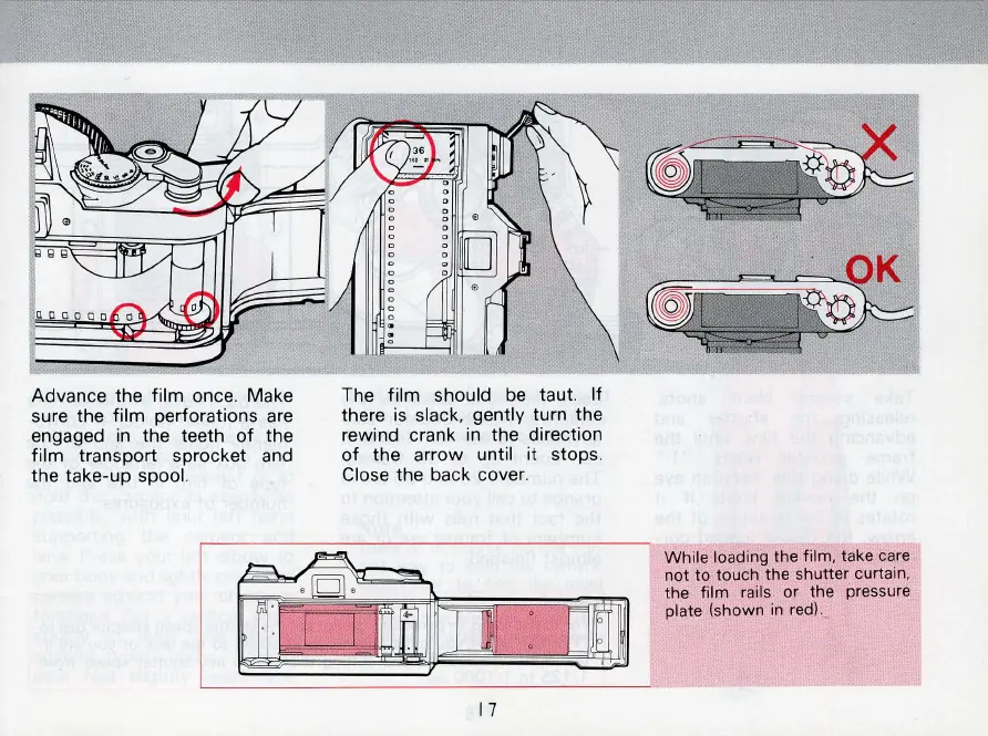 Page #17 background image