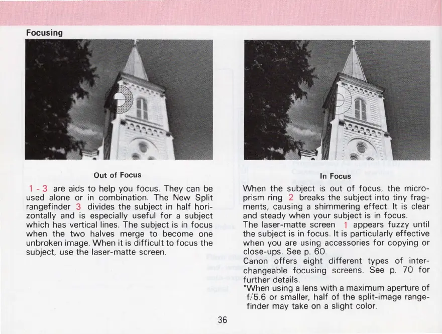 Page #36 background image