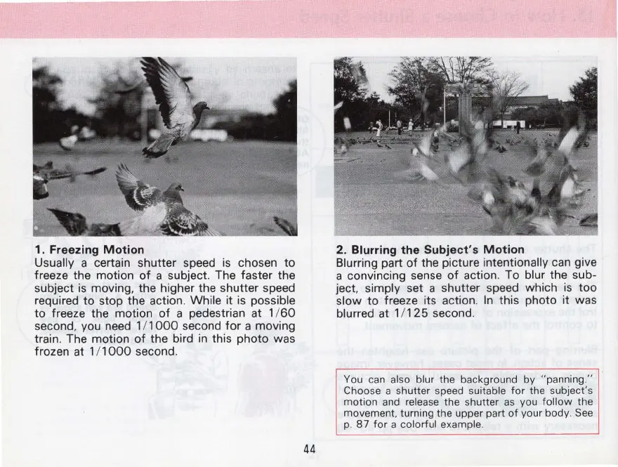 Page #44 background image