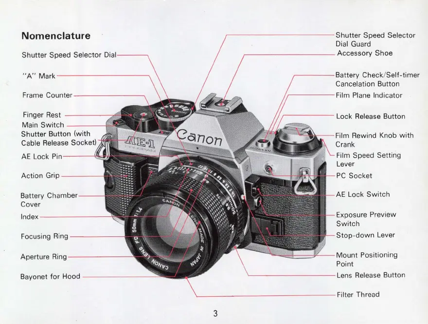 Page #3 background image