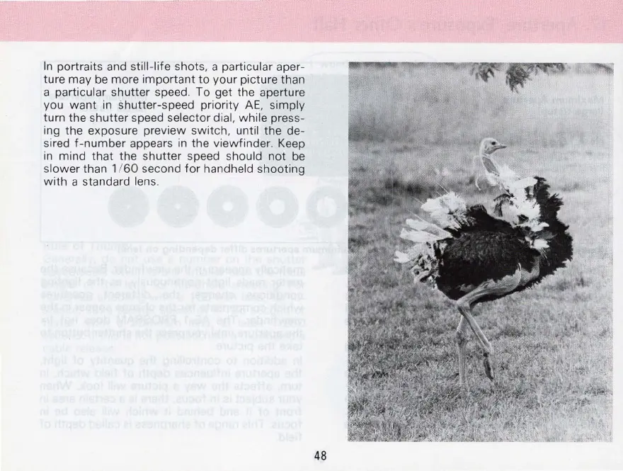 Page #48 background image