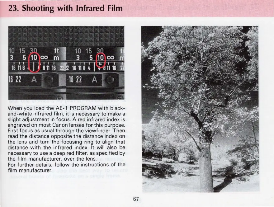 Page #67 background image