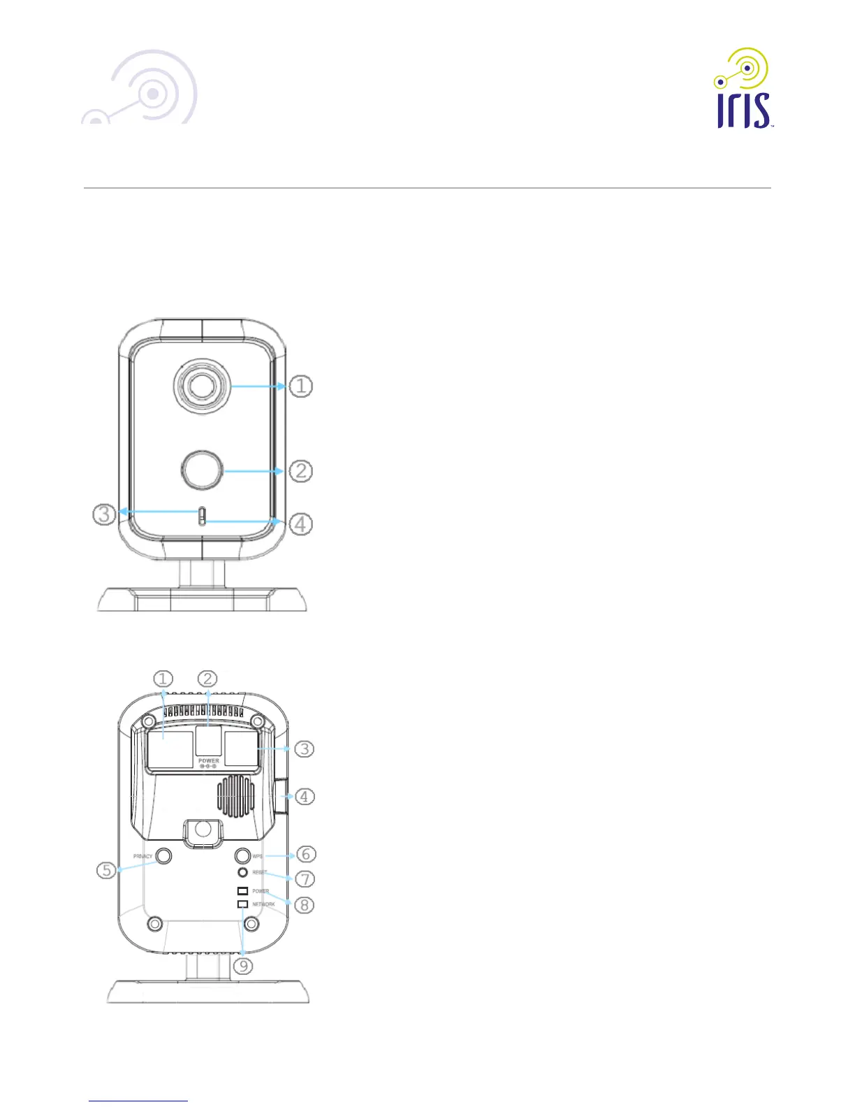 Page #3 background image