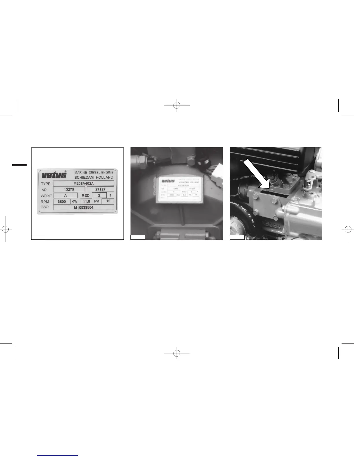 Page #8 background image