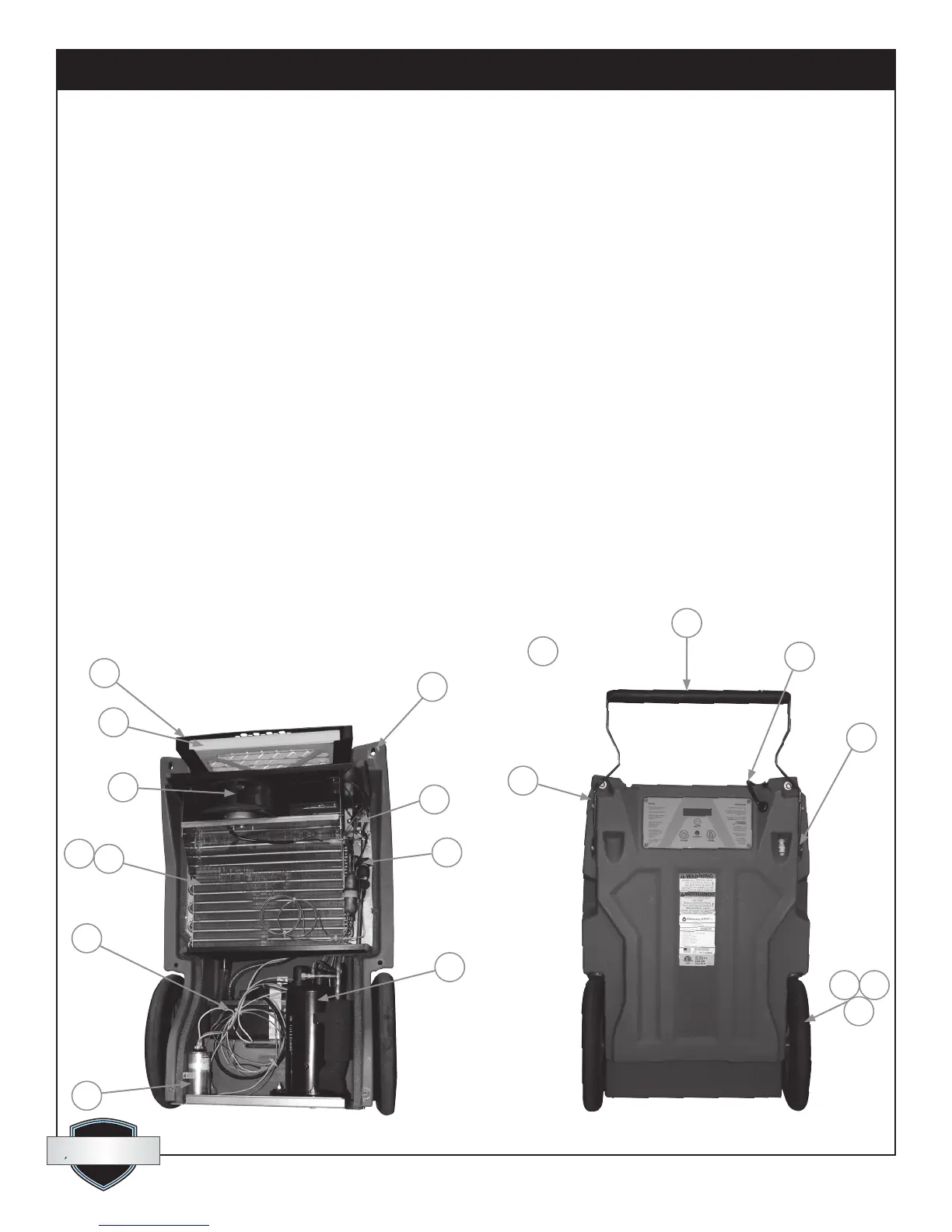 Page #12 background image