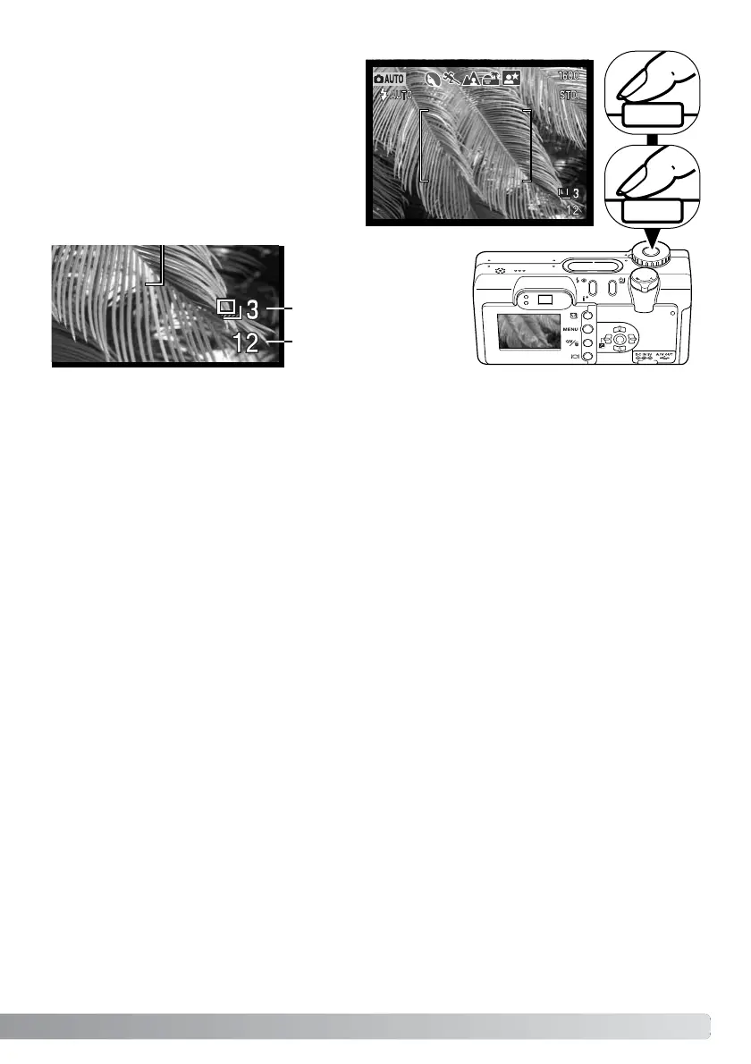 Page #43 background image