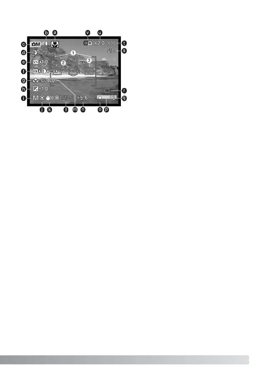 Page #55 background image