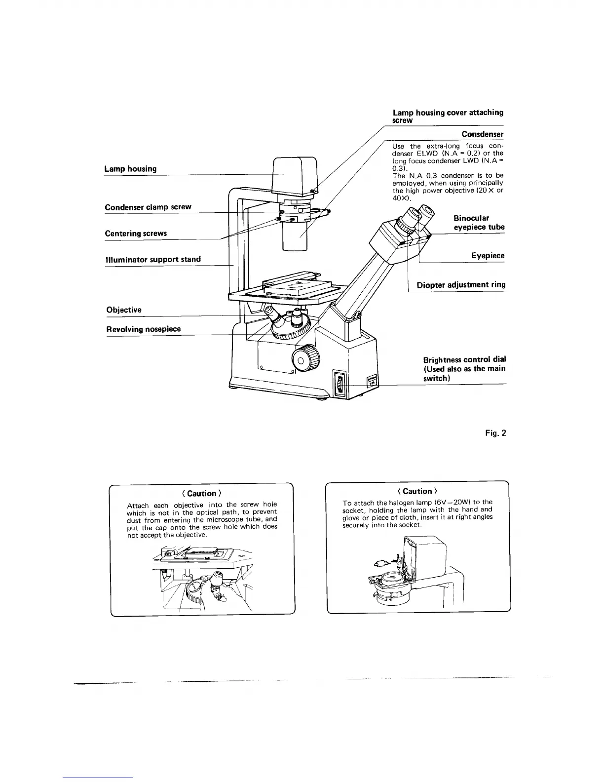 Page #2 background image
