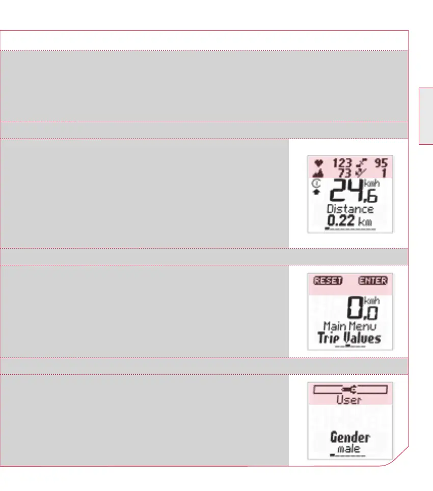 Page #44 background image