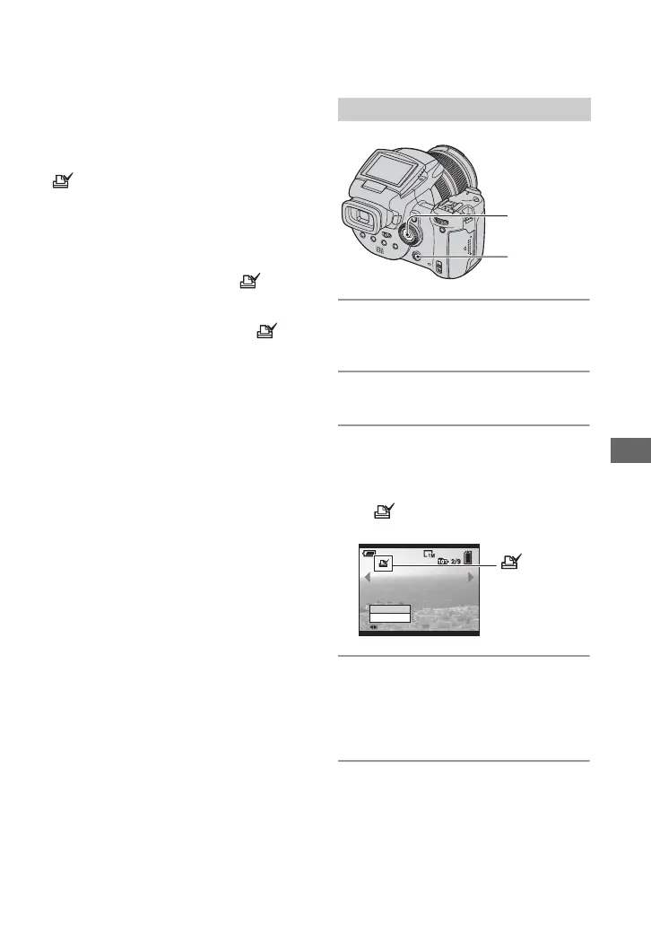 Page #103 background image