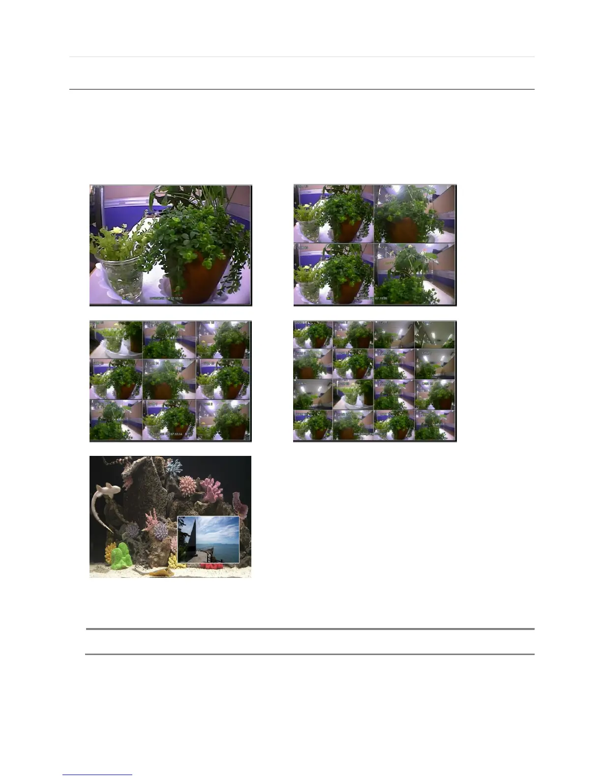 Page #20 background image