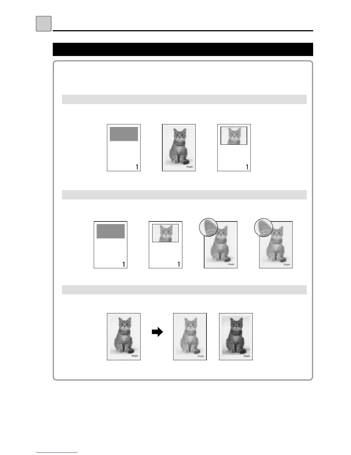 Page #44 background image