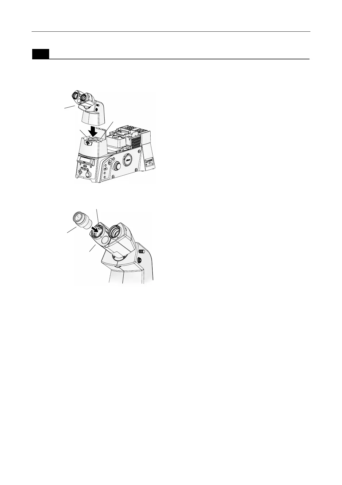 Page #96 background image