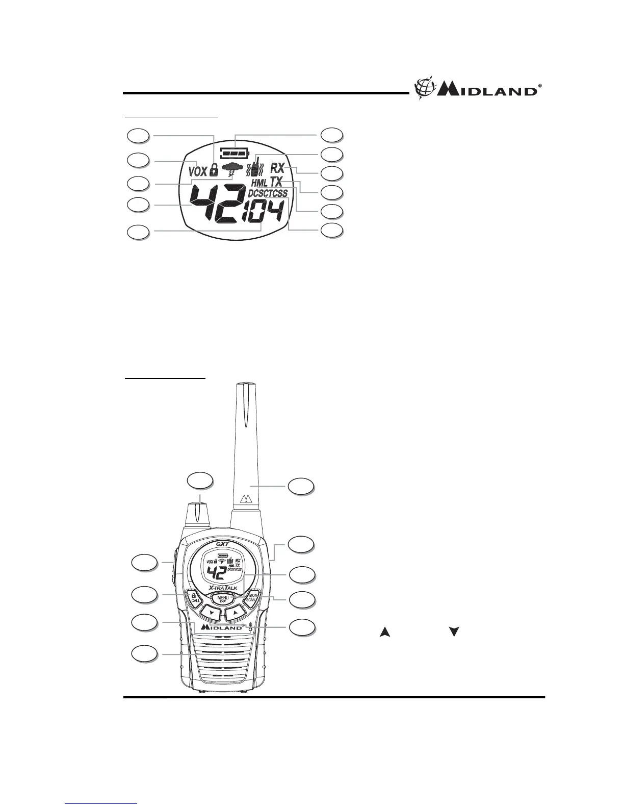 Page #2 background image