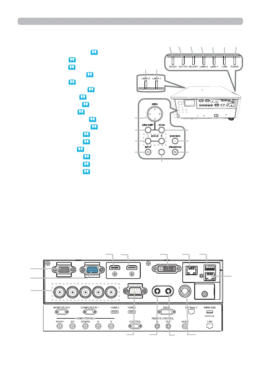 Page #5 background image