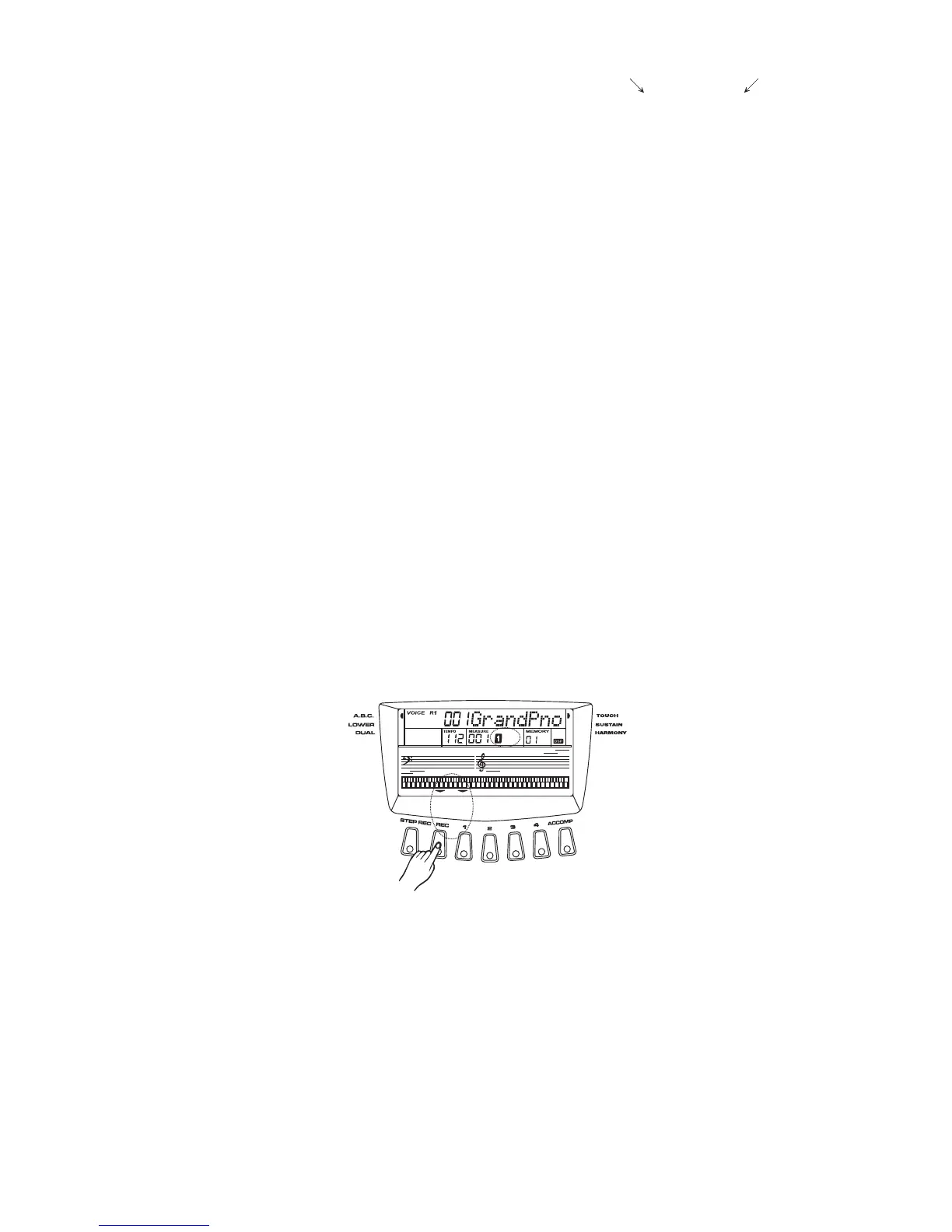 Page #43 background image