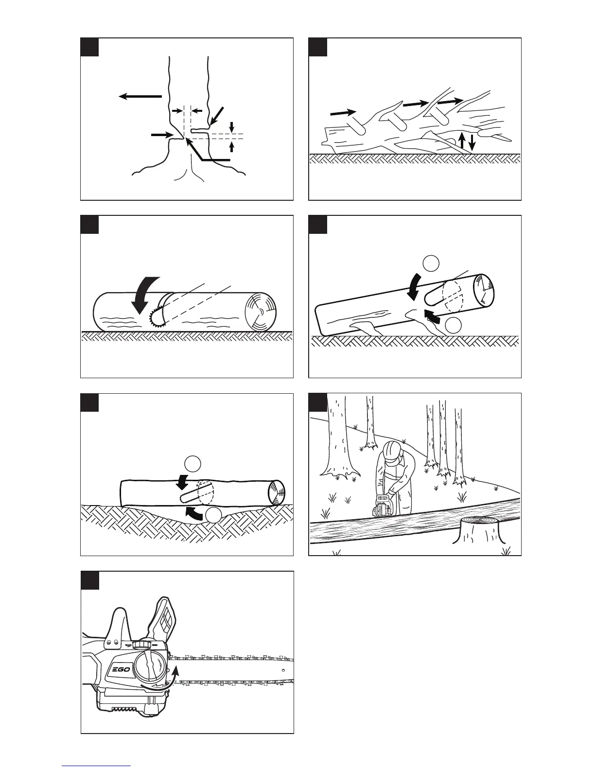 Page #5 background image