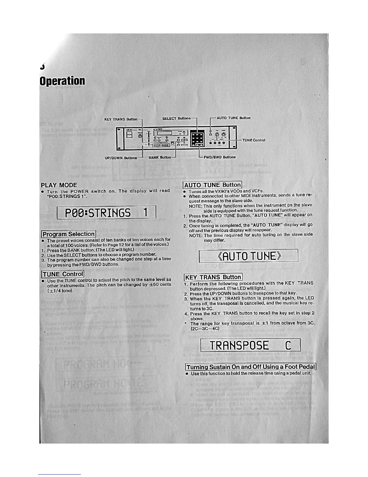 Page #5 background image