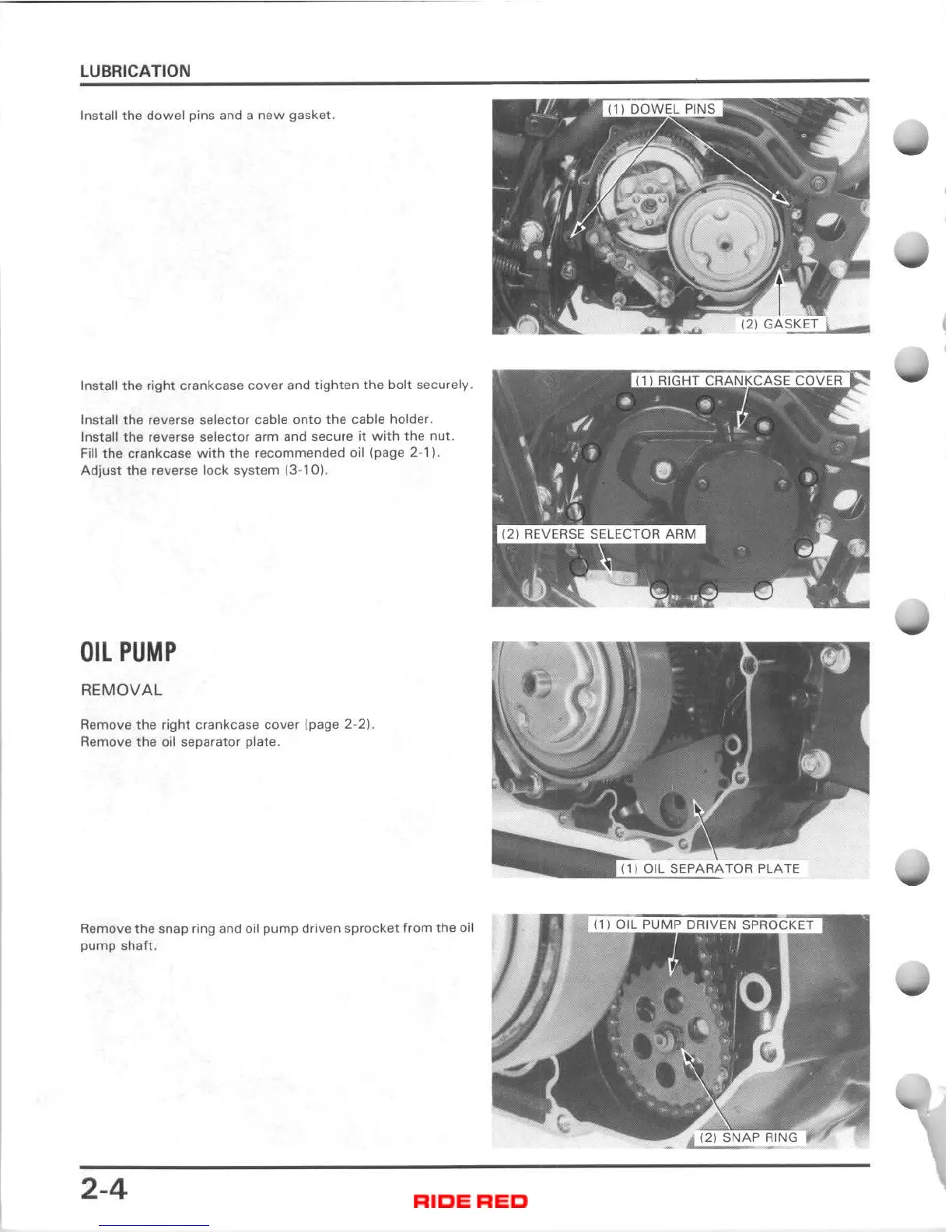 Page #21 background image