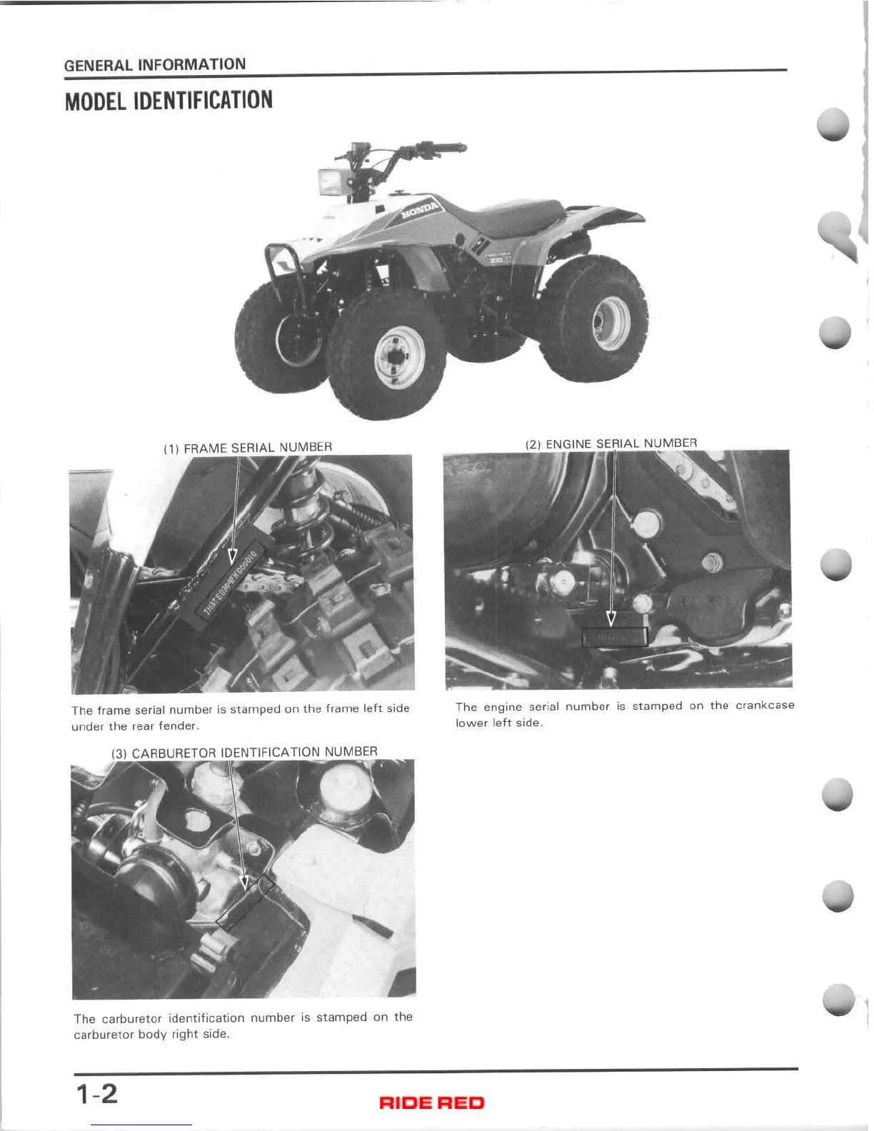 Page #5 background image