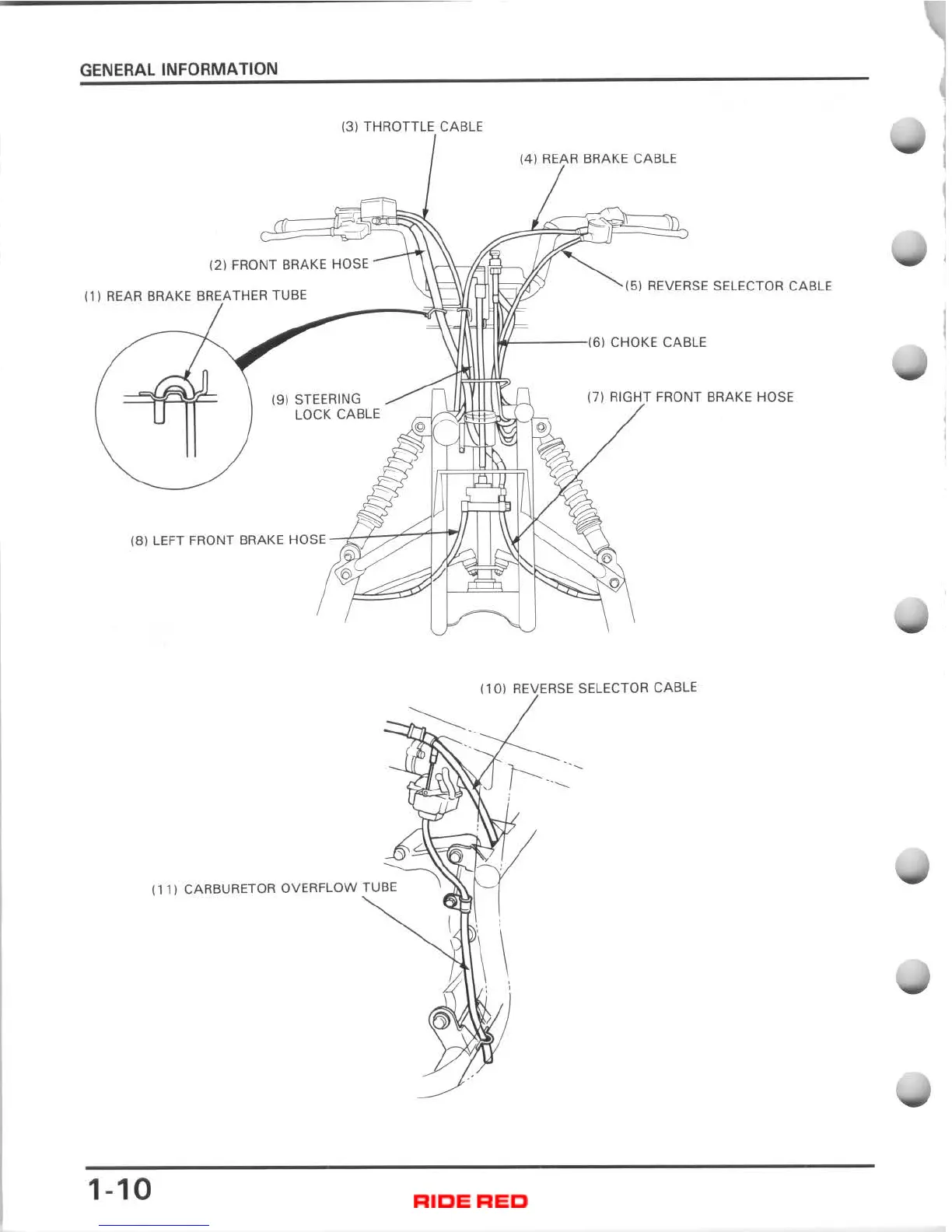 Page #13 background image