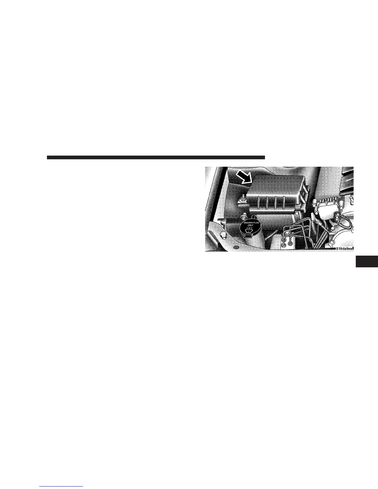 Page #363 background image