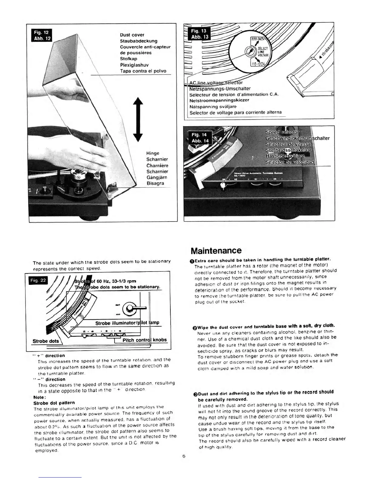 Page #6 background image