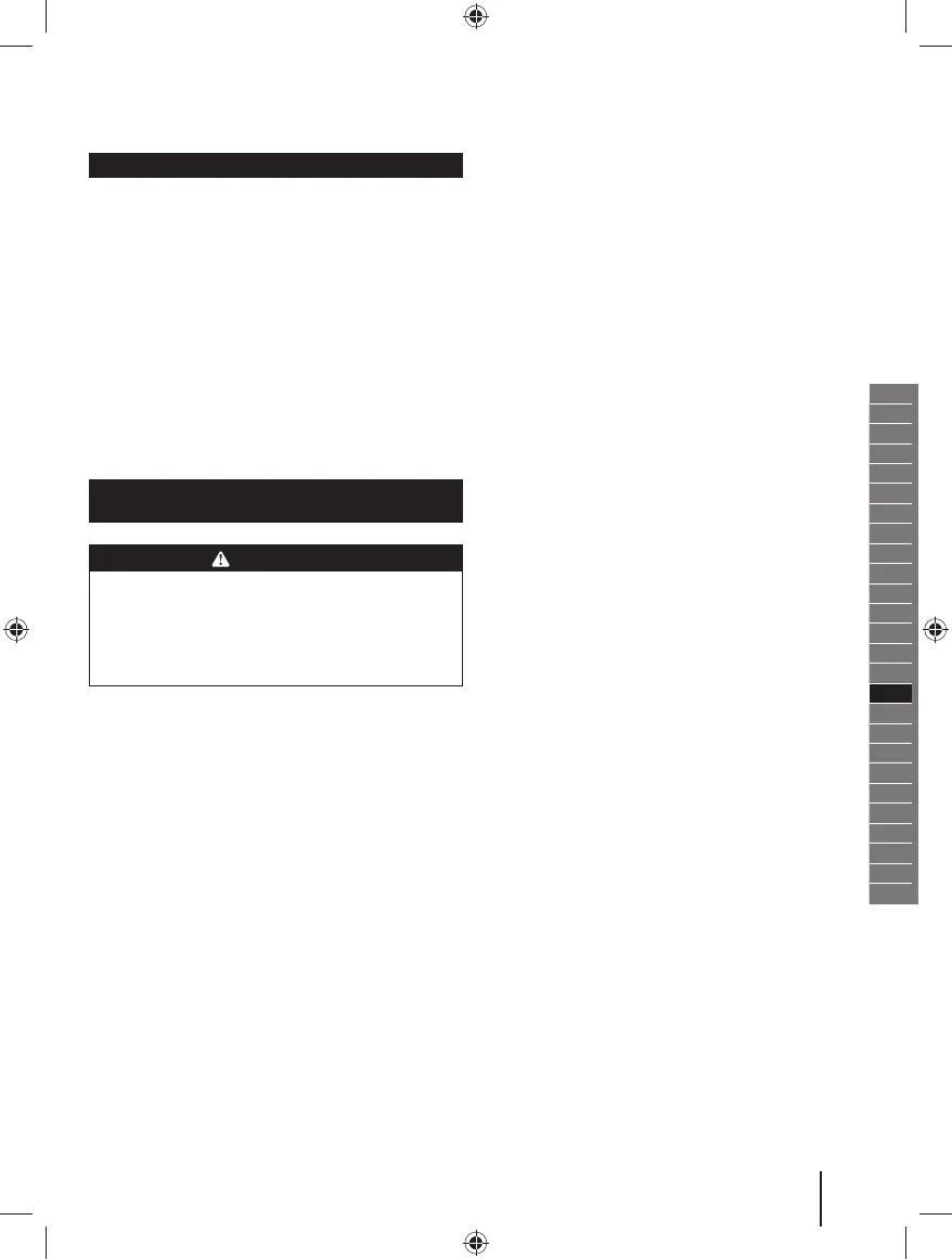 Page #219 background image