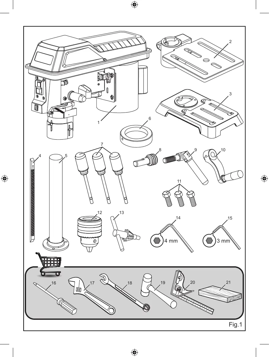 Page #3 background image