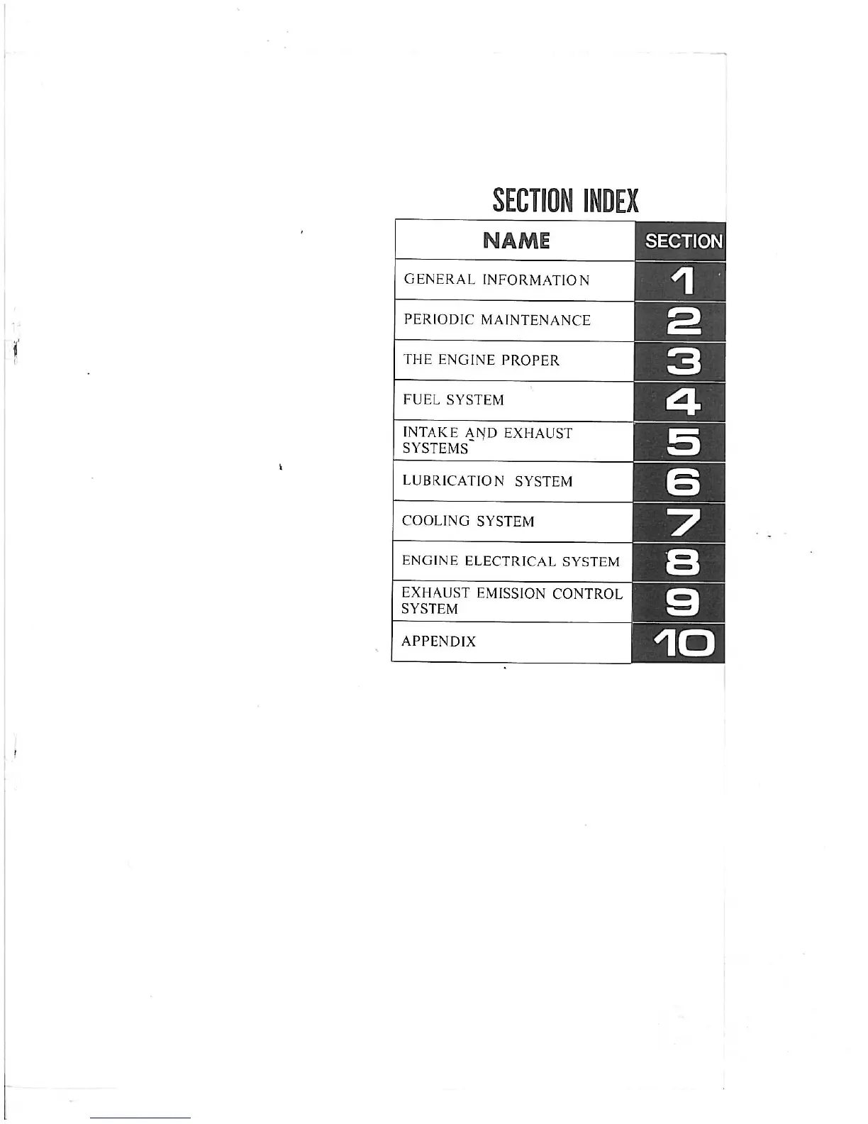 Page #4 background image