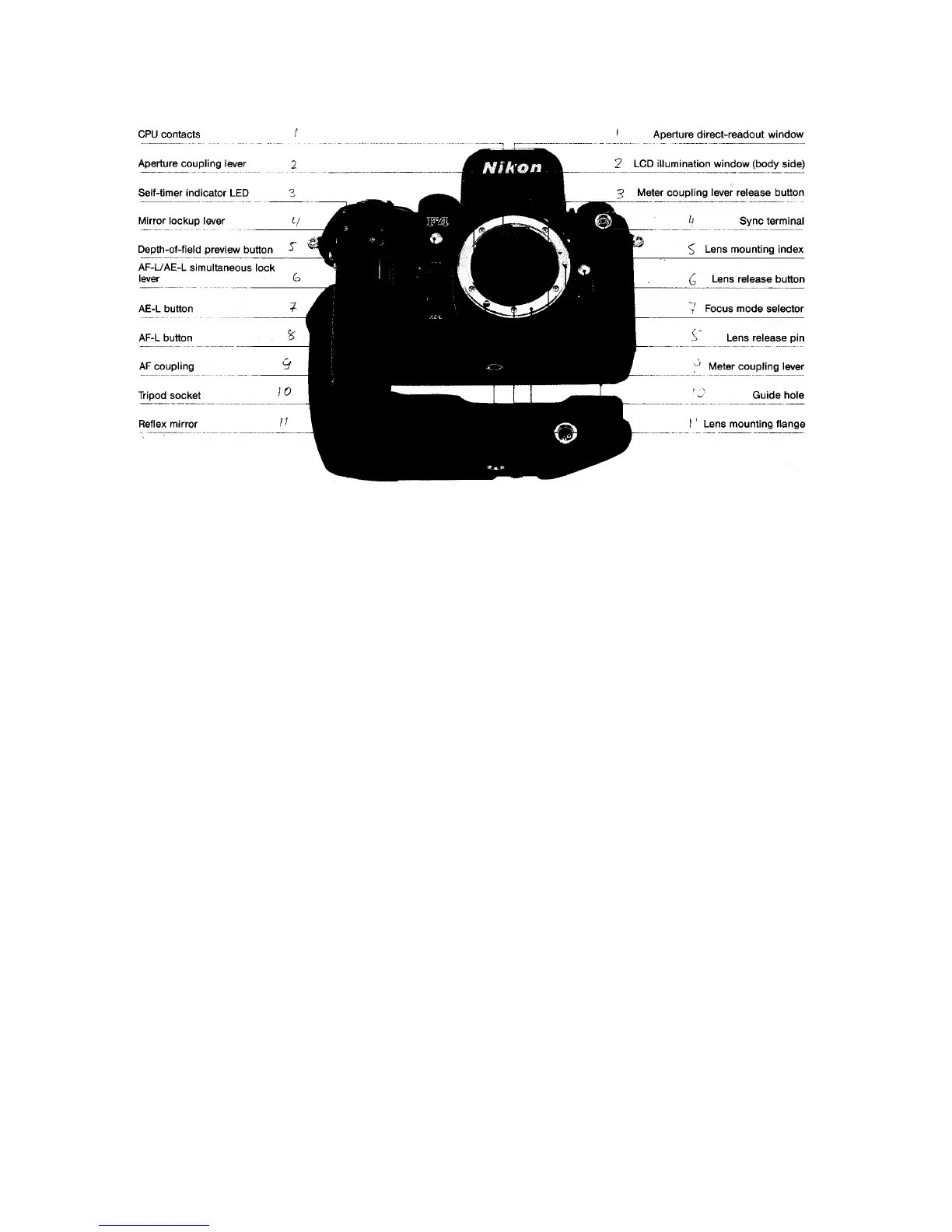 Page #5 background image