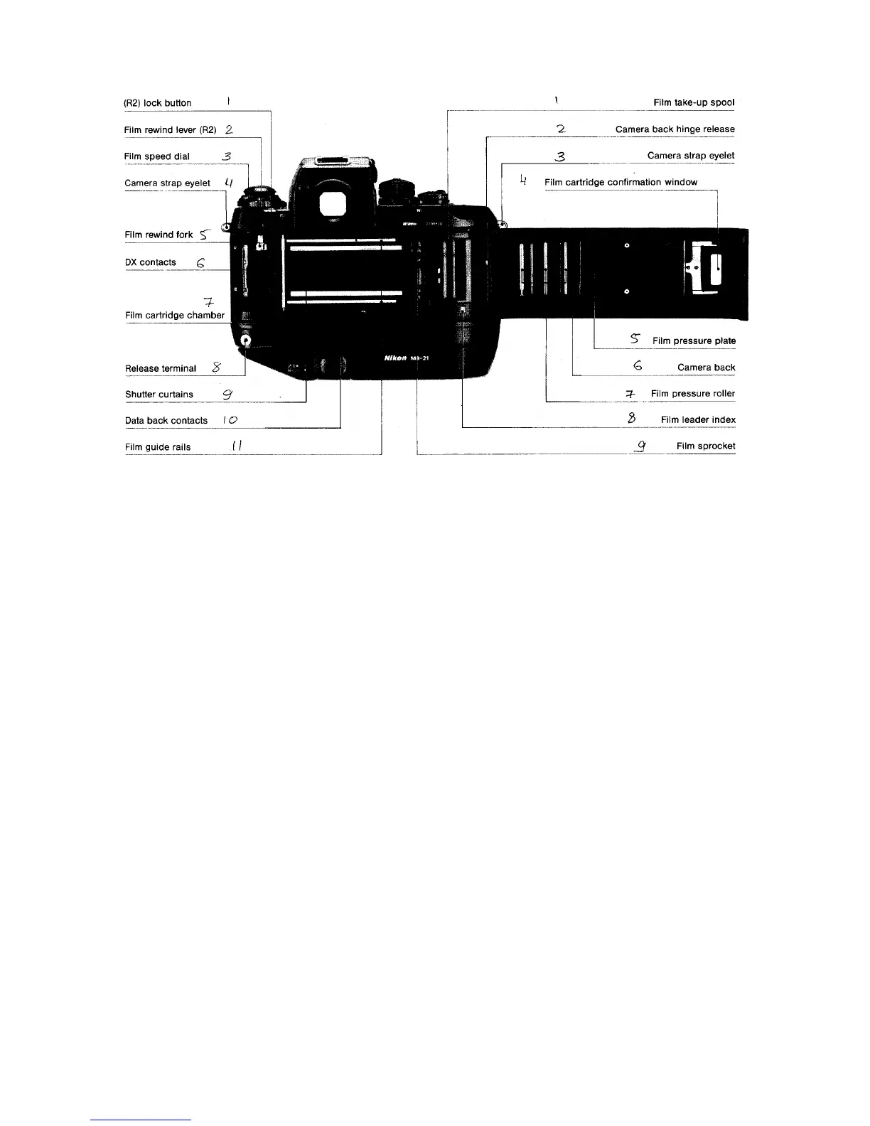 Page #7 background image