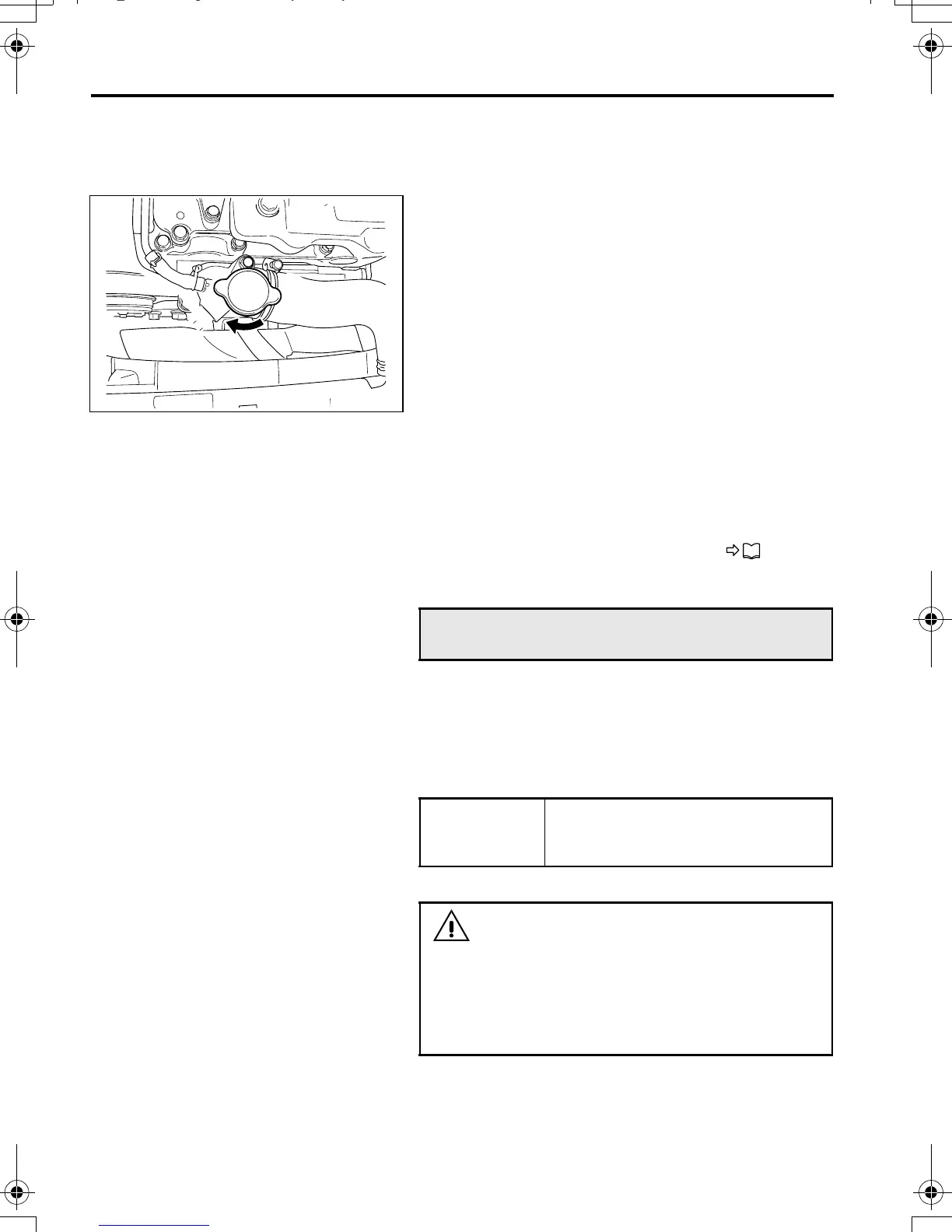 Page #213 background image
