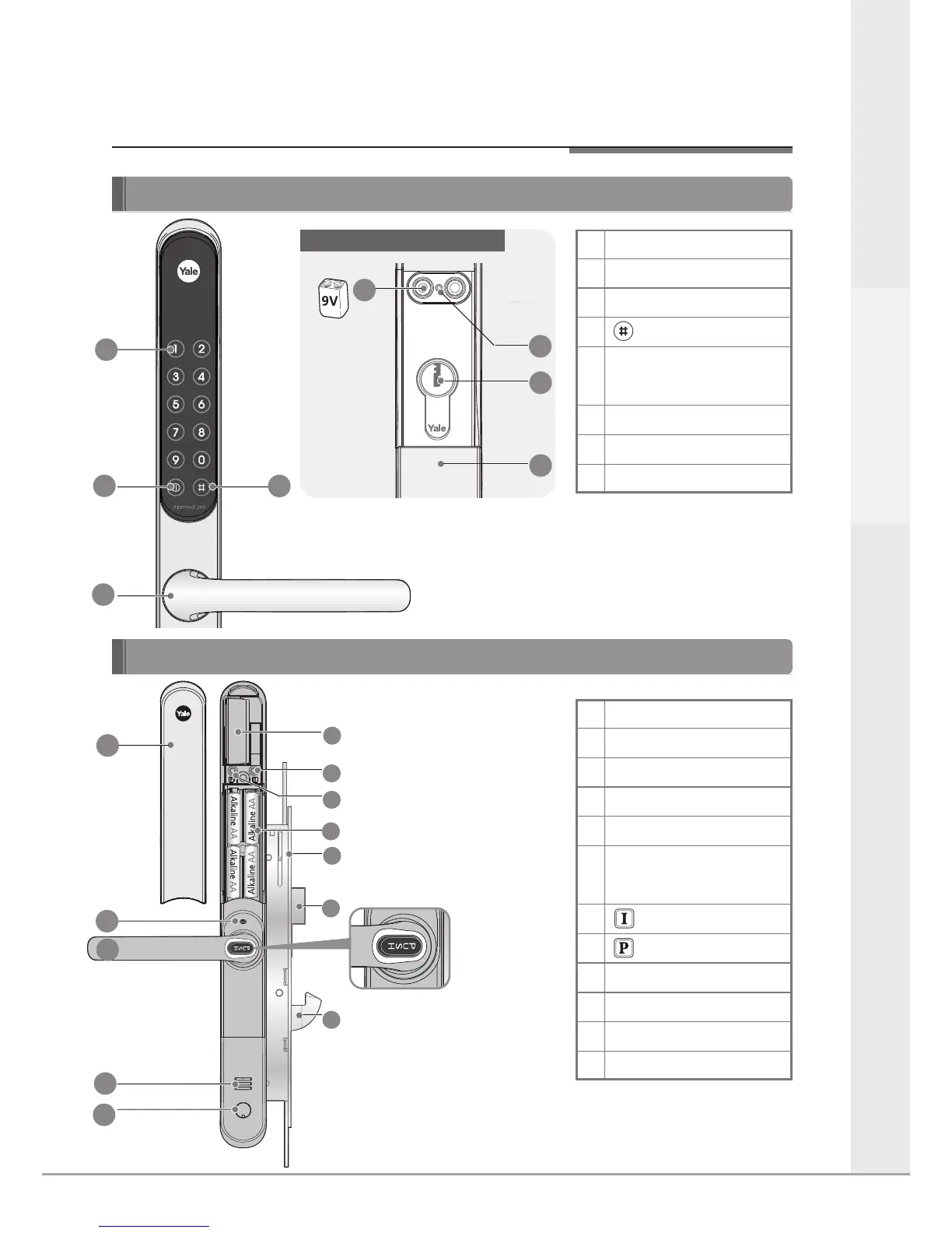 Page #7 background image