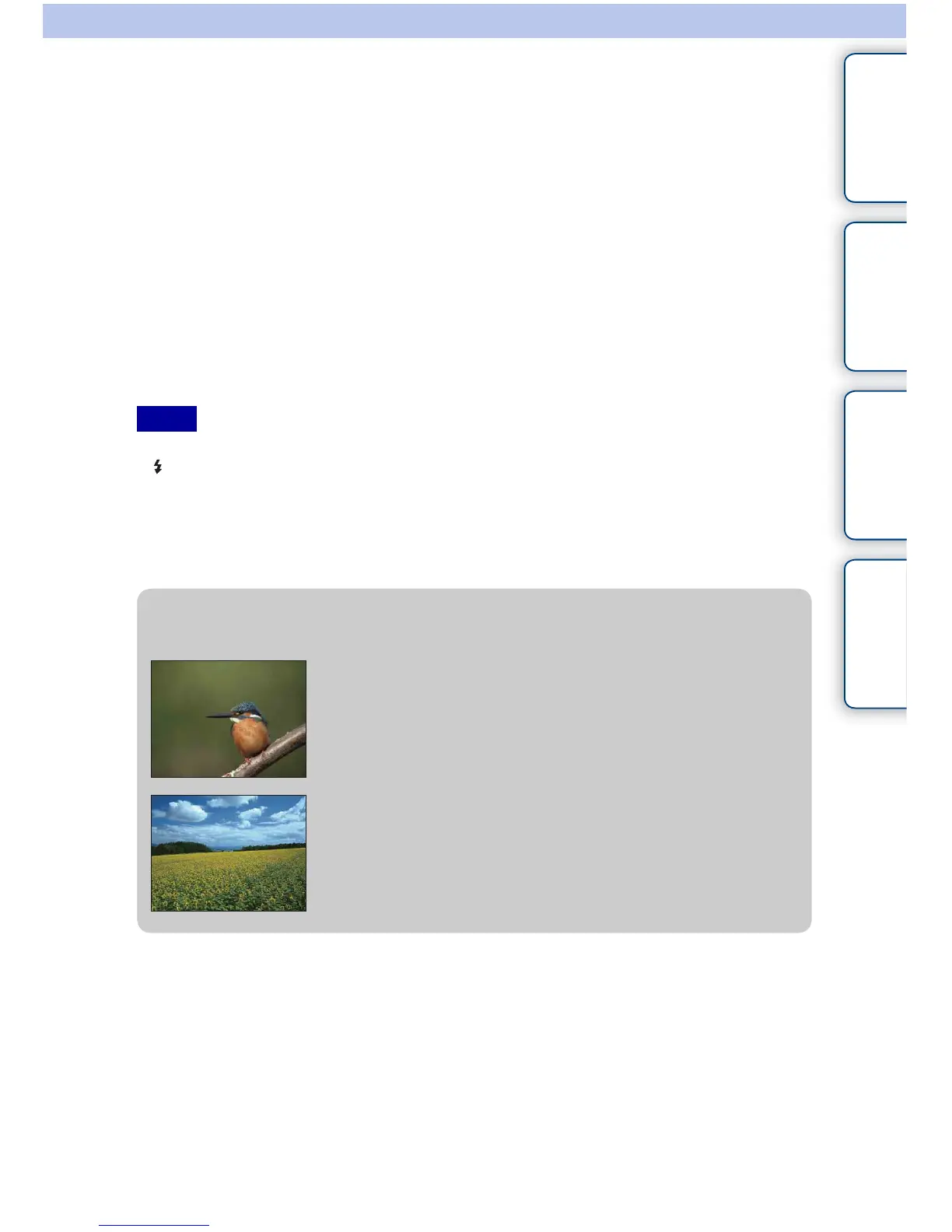 Page #131 background image