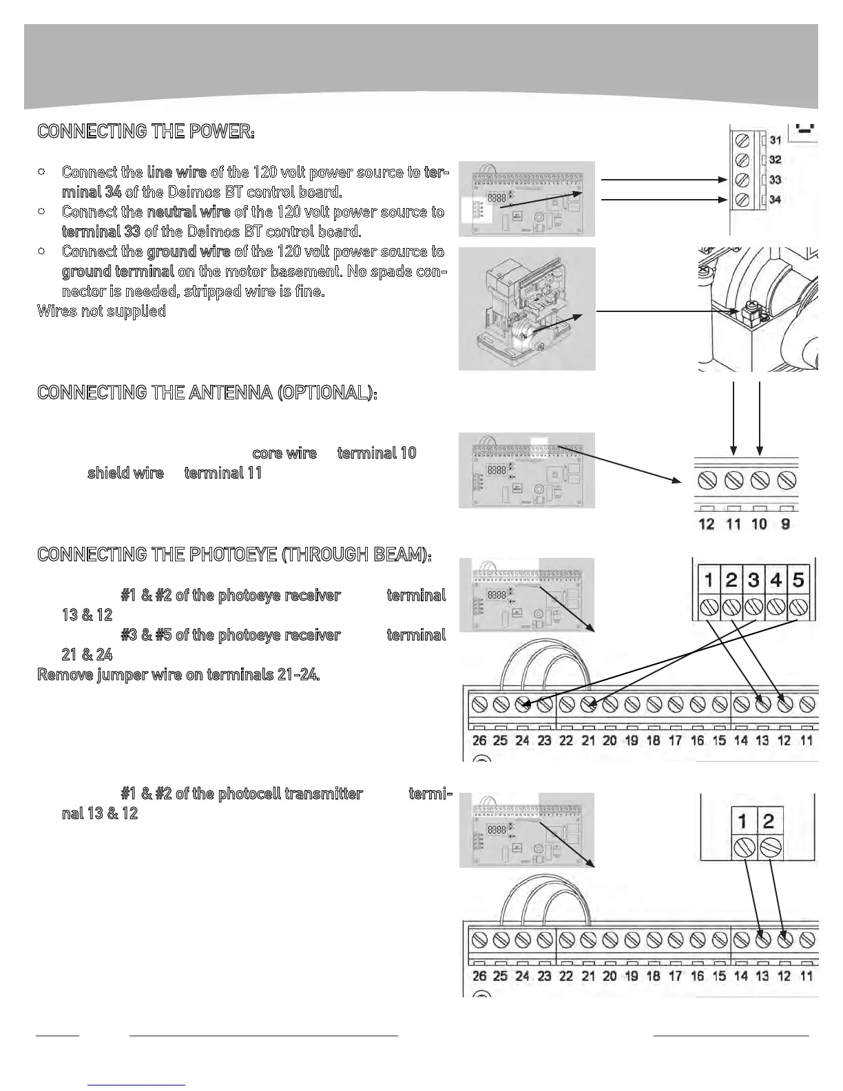 Page #8 background image