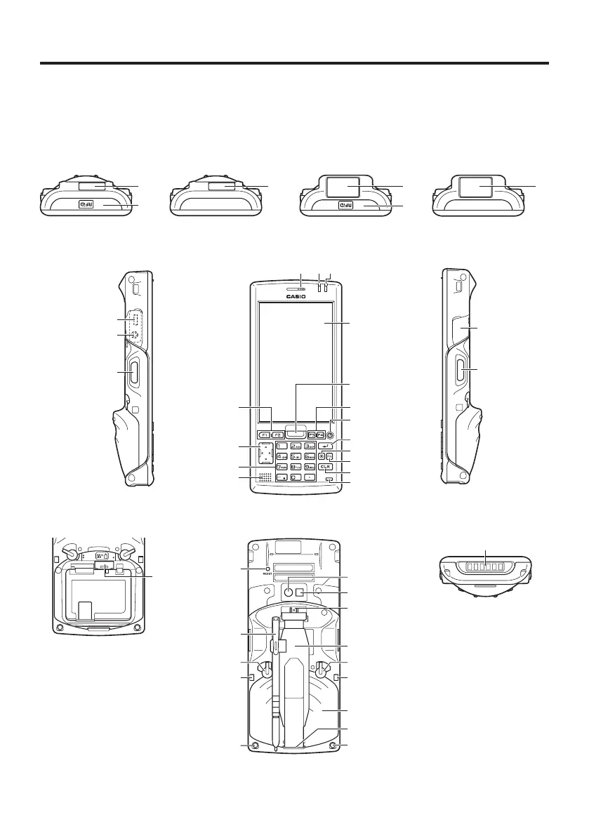 Page #12 background image