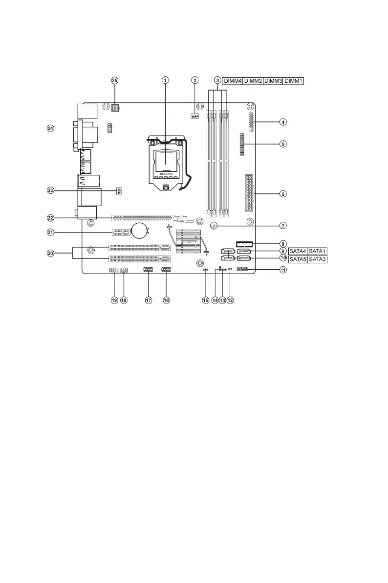 Page #10 background image