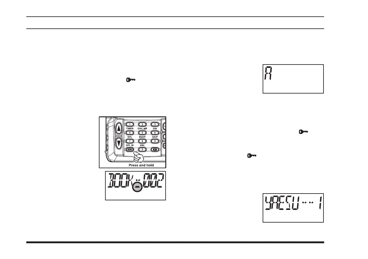 Page #40 background image